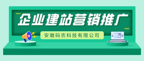 合肥企业网站建设 网页设计排版流行趋势是什么